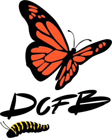 Christopher Jackson's Organization